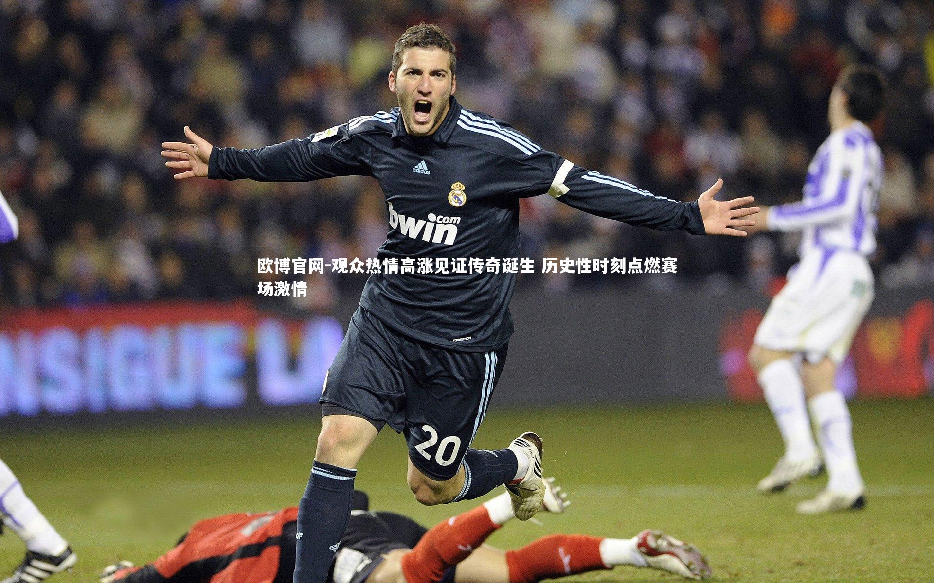 欧博官网-观众热情高涨见证传奇诞生 历史性时刻点燃赛场激情-第2张图片-欧博官网